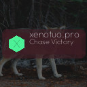 xenotuo.pro
