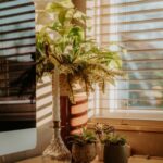 Tips for Creating a Cozy and Productive Home Workspace